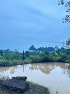 สวนหินธาราเขาแม่พันธุรัตน์โฮมสเตย์ & แคมปิ้ง กงหรา พัทลุง