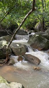 สวนหินเขาแม่พันธุรัตน์โฮมสเตย์ & แคมปิ้ง กงหรา พัทลุง