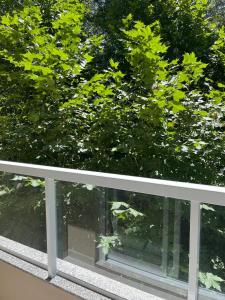 Perfeito para o Vestibular a 5min da UFSM em Camobi