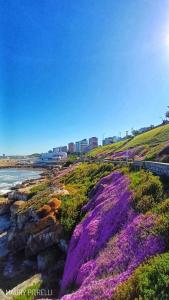 Departamento a estrenar 3 ambientes con balcón A 1 cuadra de la playa