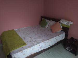 Peacock home stay