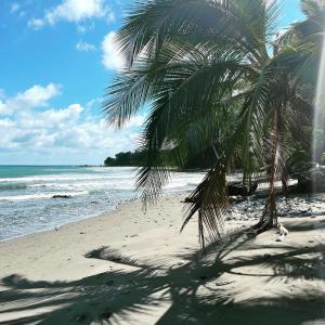 Maravilla Ojo Del Mar Naturelodge