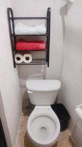 Depa 5min Tren Maya y Fac Ing Qfb Pet Friendly