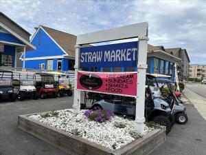 C110 A Shore Thing 2 BR 2 BA Oceanfront Condo A Place At the Beach VI