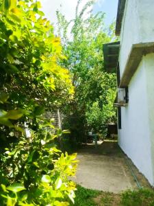 La Pasiflora 300 meters from the beach