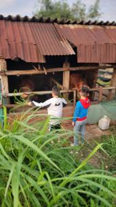 Vintage homestay Quy Nhon