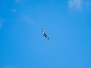 Sunrise & Ocean View Camp Ground - ESP Pacitan