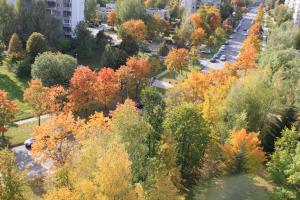 Roberto dangaus apartamentai