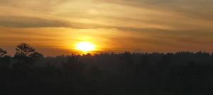 SKY SUNSET BUNGALOWS AND Restaurant