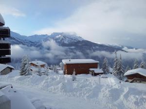 Cozy Duplex La Rosière, 100m piste Manessier, quartier calme et boisé