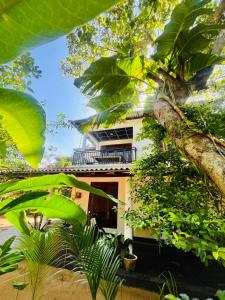 Sigiriya Arecanut Garden