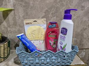 Thalassa A Beach Inspired 1BHK with Balcony in Sector 106 Gurugram on 23rd Floor