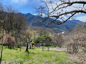Le Soleil de Flaut Beautiful studio house Nature