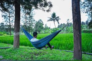 Phalam Homestay
