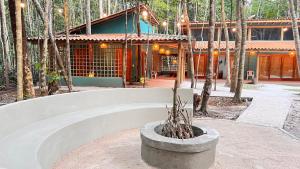 Casa paralelo 17 , Trancoso Jacuma