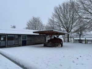 Equi Guidance Studio