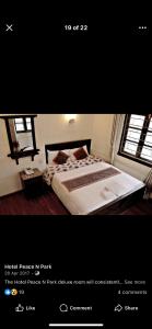 Hotel Peace and Park