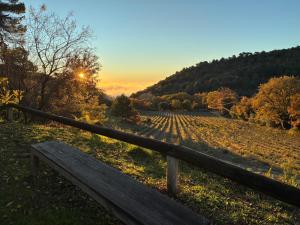 Les goûts et les couleurs