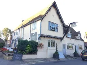 The Dog At Wingham - Elmstone