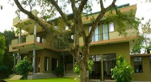 Mangrove Escapes Resort