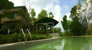 Mangrove Escapes Resort