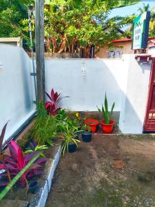 Paddy Surf Cliff Retreat Varkala