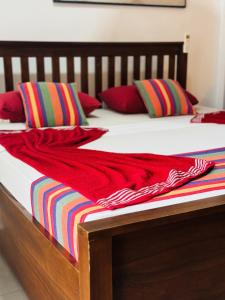 Elephant Reach Udawalawe