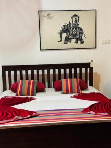 Elephant Reach Udawalawe