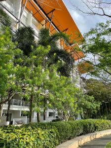 Beach condos at Pico de Loro Cove & possible Beach Club Access & Wi-Fi & Netflix, 42-50TVs with Uratex beds & pillows, equipped kitchen, balcony, parking, guest registration fee is not included