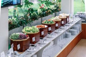 Sao Mai Phu My Resort