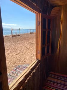 Anne Sinai Best Camp