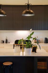 Merilli1885 - Luxury Tranquil Adult Escape