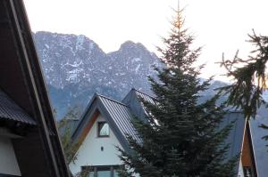 Apartamenty IDA Zakopane