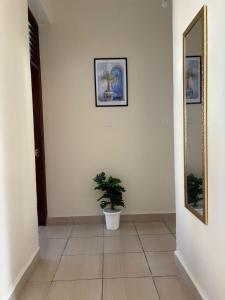 Stanleys Coastal Paradise