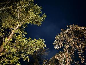 Lilliput Haven Homestay