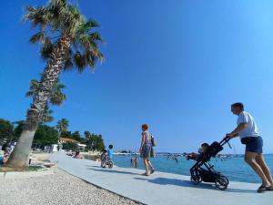 Apartment Martina Vir