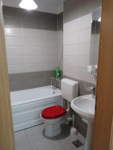 Apartments for rent near Coresi Shopping