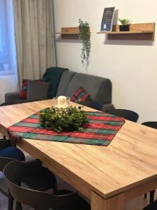 Apartament Gór-SKI
