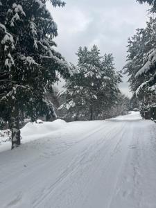 Rzeczny Zakątek nad Wkrą