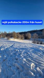 Henrys utanför Ullared