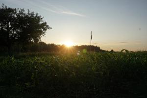 Naturnah und familienfreundlich