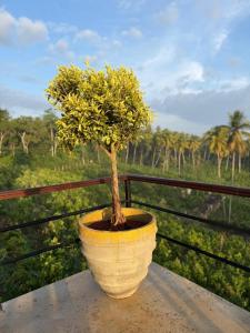 Kurunda Estate Villa