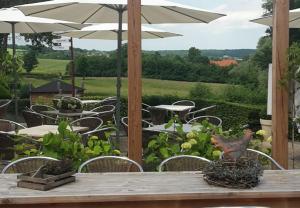 Recreatieboerderij Tergracht - Dr Huujstel