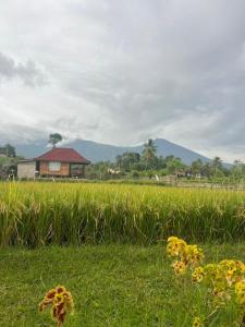 Pondok Indah Bungalows Tetebatu