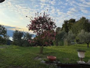Gardasee Chalet - la tua casa sul Lago di Garda