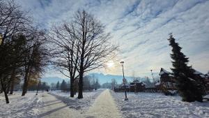 Sunny Apartment Centrum Zakopane