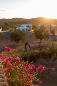 Finca Can Rosa Ibiza, private pool, 10 minutes from the beach
