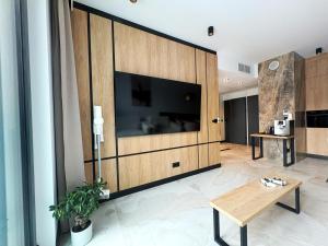 Apartament - Vidok 301