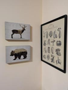 Residenza Cedro - Centro Aprica - VAV Apartments