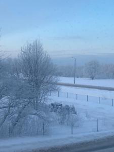 The Pakview Studio Apartment